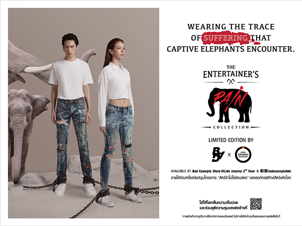 เผยความบันเทิงที่แลกมาด้วยความเจ็บปวด กับ Ripped Jeans จากรอยแผลของ “ช้าง” ผ่าน Bad Example x World Animal Protection
